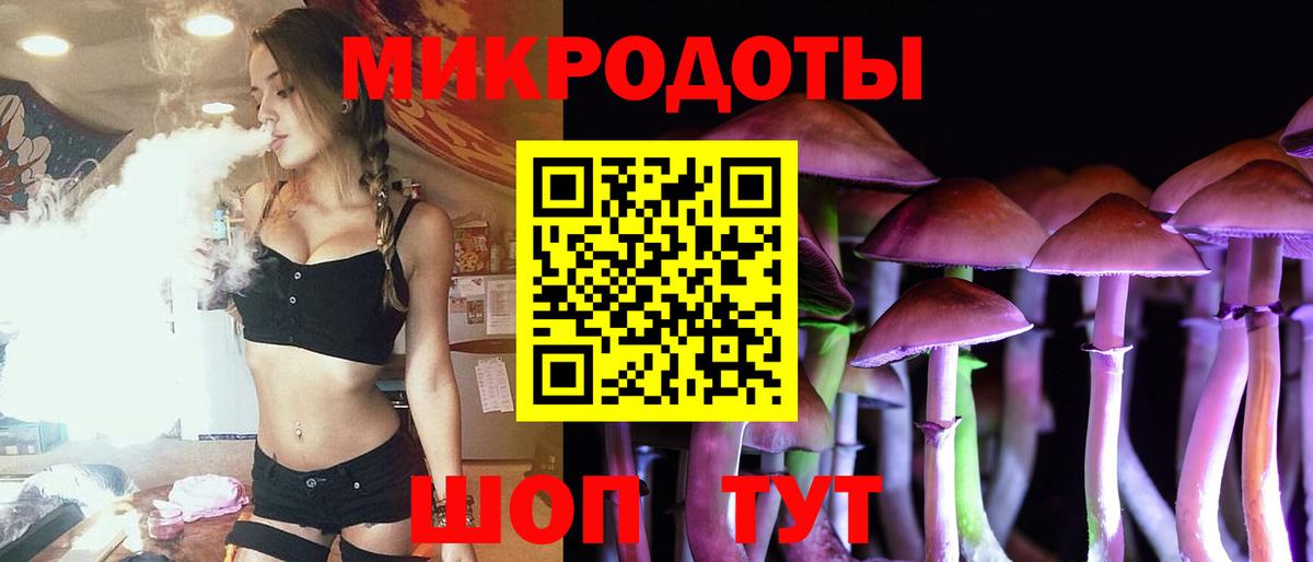 Галлюциногенные грибы Psilocybe Нарткала